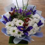 хризантемой