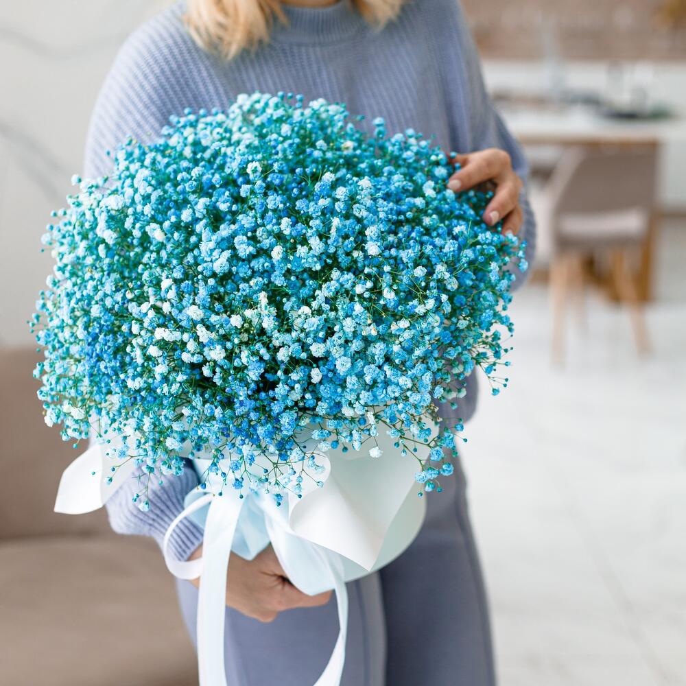 Голубая мечта, из гипсофилы