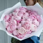 35 нежных пионов