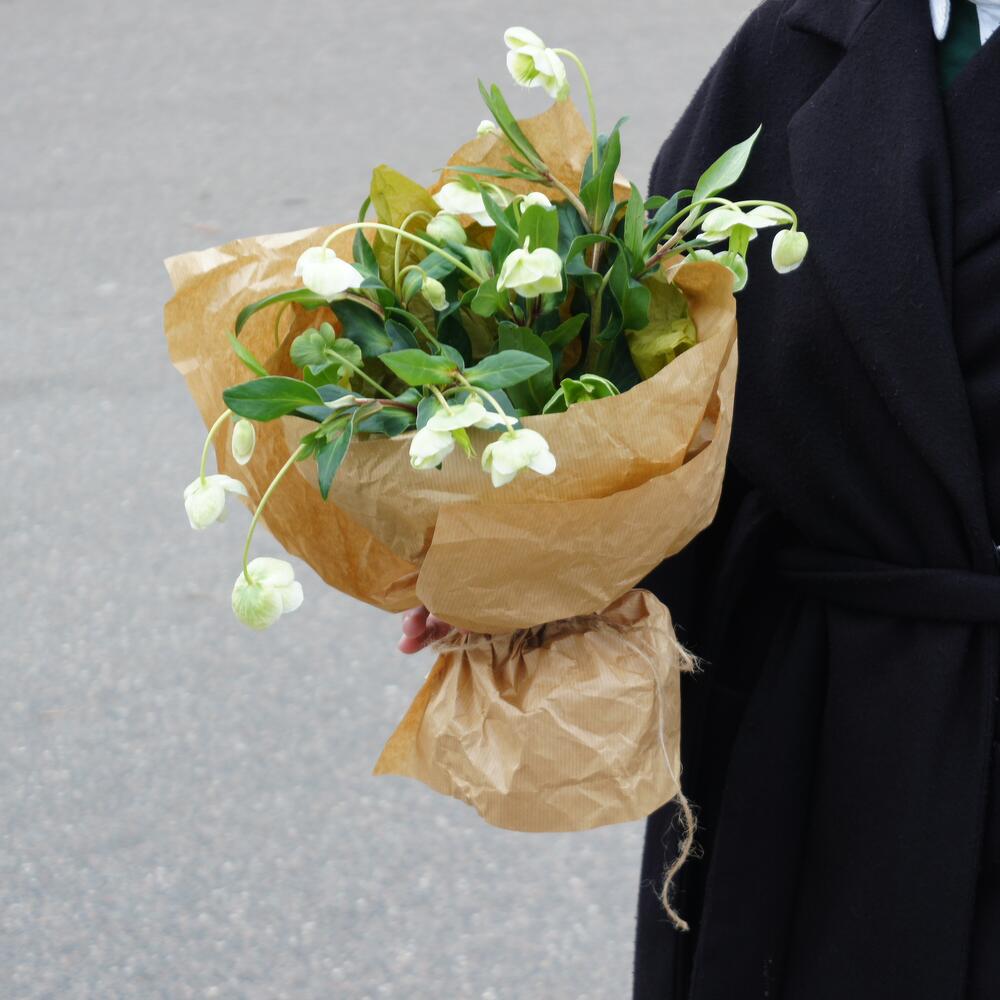 Хелеборус в крафте