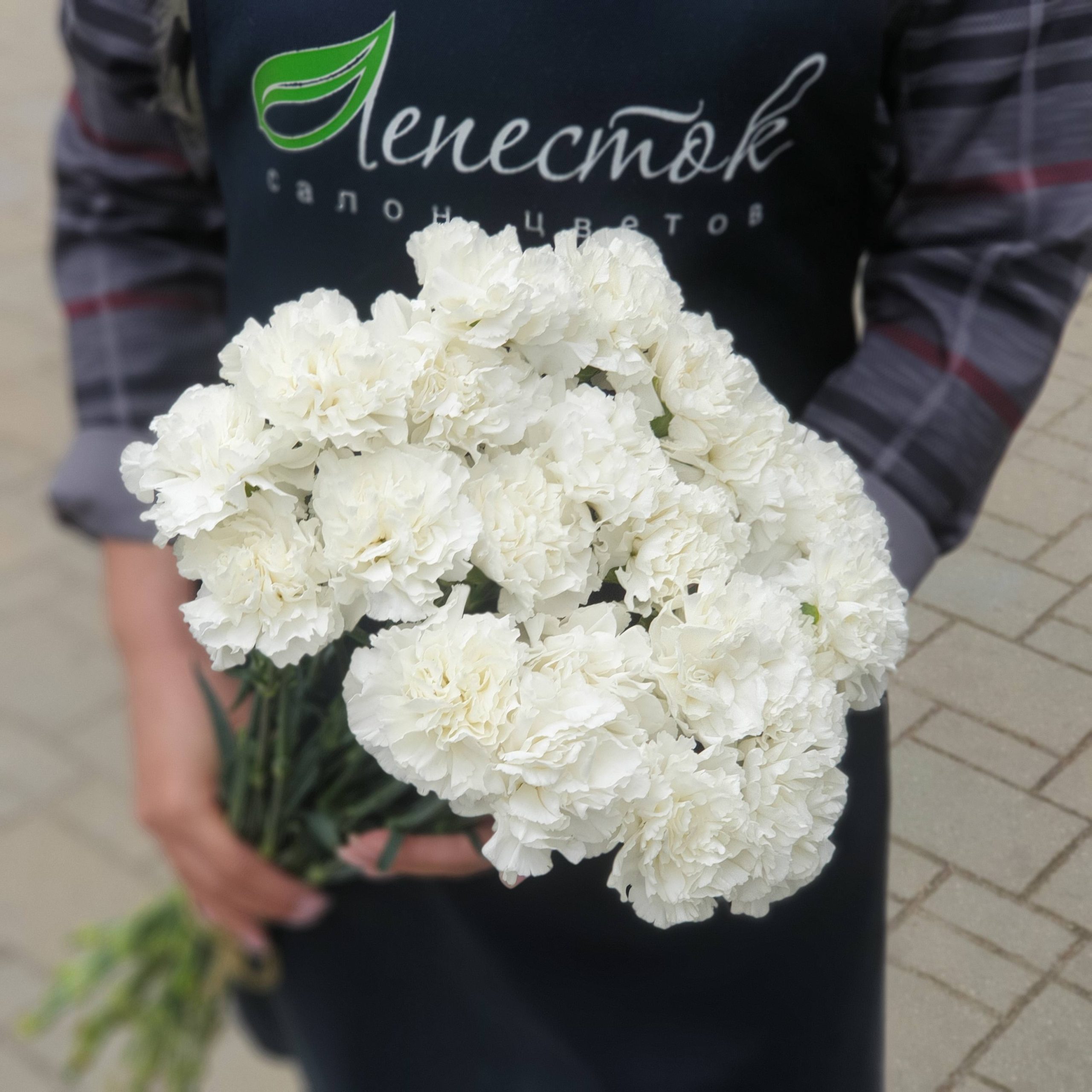 71fe5119-a9f5-4a30-a2e8-b6a154fe8fab